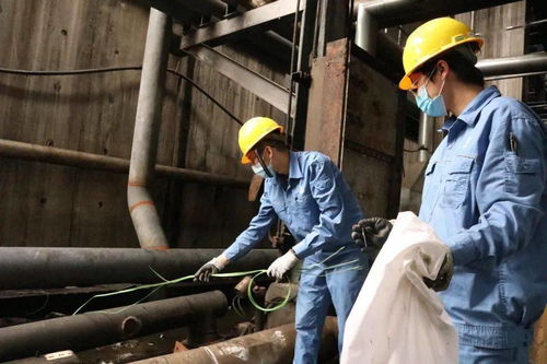 青春在檢修現場閃光 公司機關青年突擊隊助力裝置大修，以擔當詮釋責任